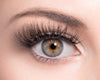 GLAM - SugarPOP Lashes