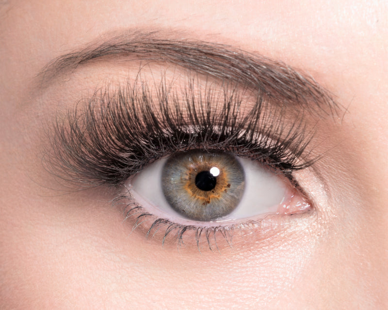 GLAM - SugarPOP Lashes
