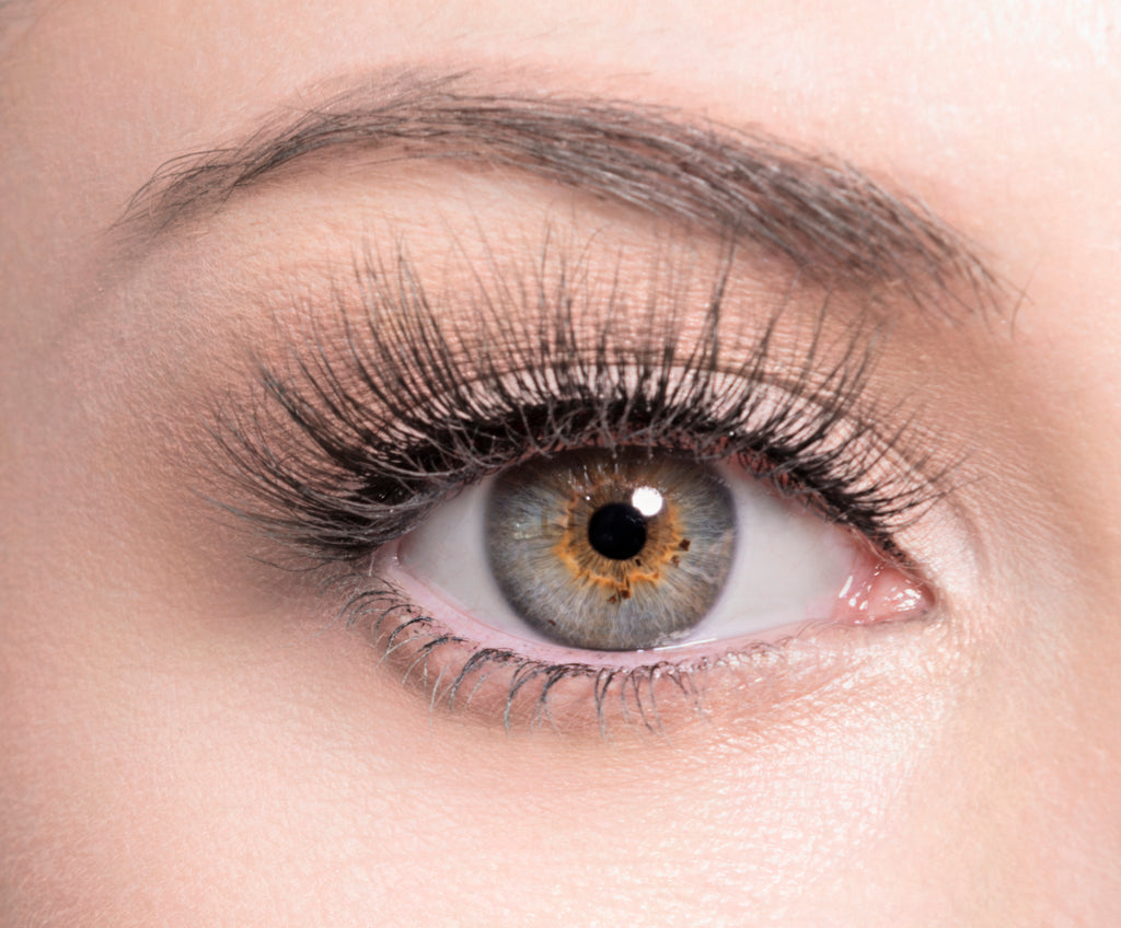 SUGAR - SugarPOP Lashes